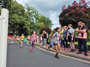 6e19d1a1-bb1e-4ea0-b12a-b2e5910d7804