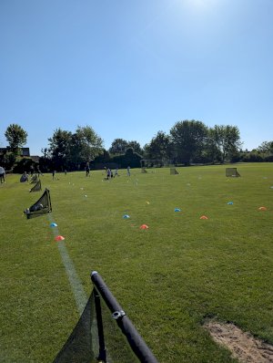 IMG-20250517-WA0009
