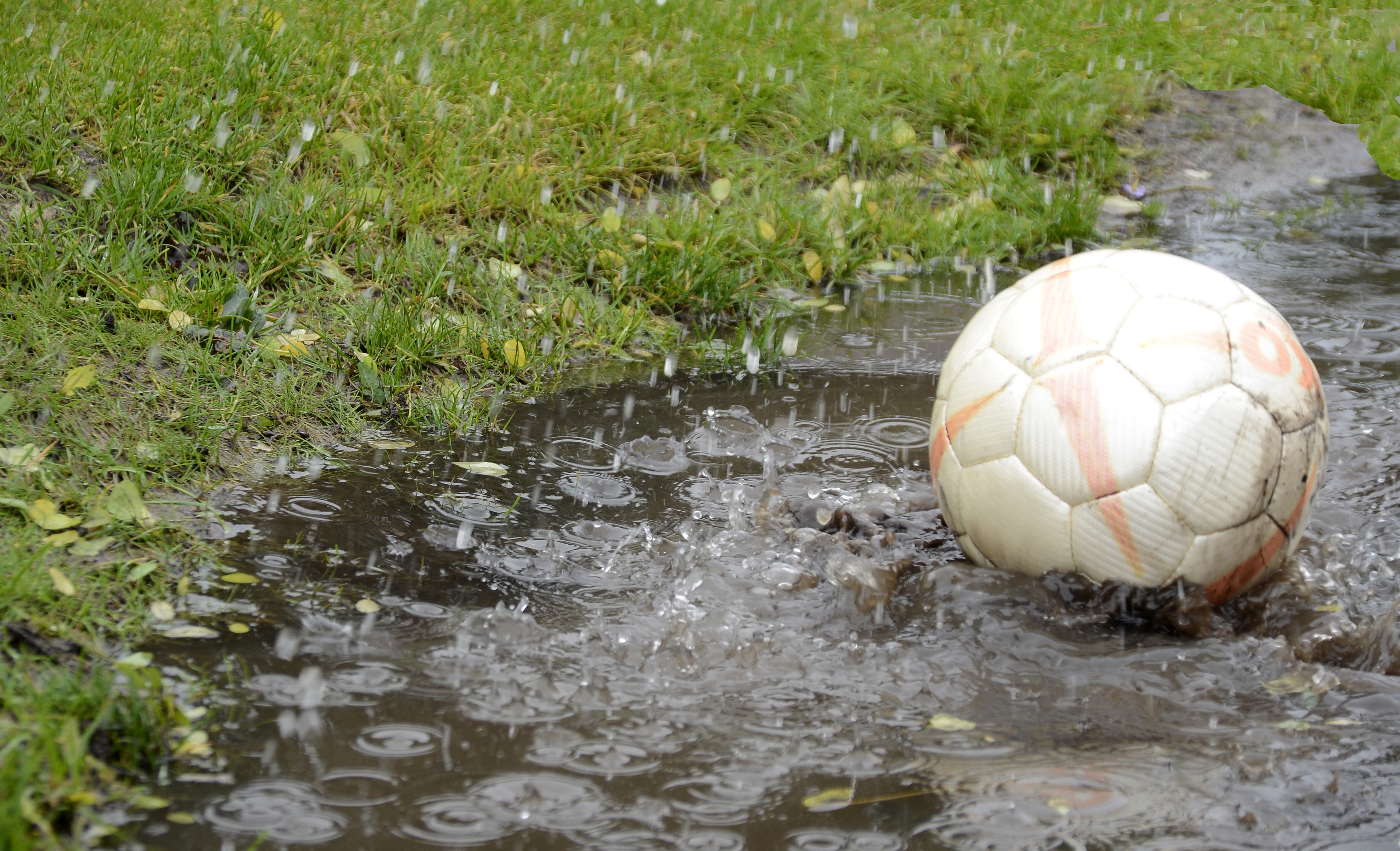 Spelle: Spiel gegen Flensburg fällt aus