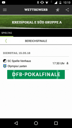 Bereichspokal-Endspiel